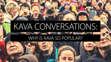 Why is kava so popular