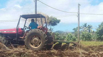 Plowing and fencing our future fields of Kava - October 25 - 2017
