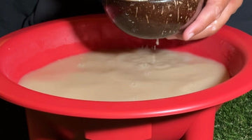 The Sacred Vessel Reimagined: Tracing the History of the Tanoa and Kumete to Kavafied's Modern Innovation