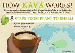 How Kava Works Kava Infographic