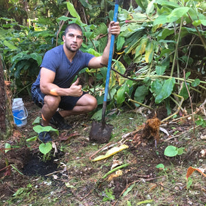 How To Grow - “Pacific Kava: A Guide" –