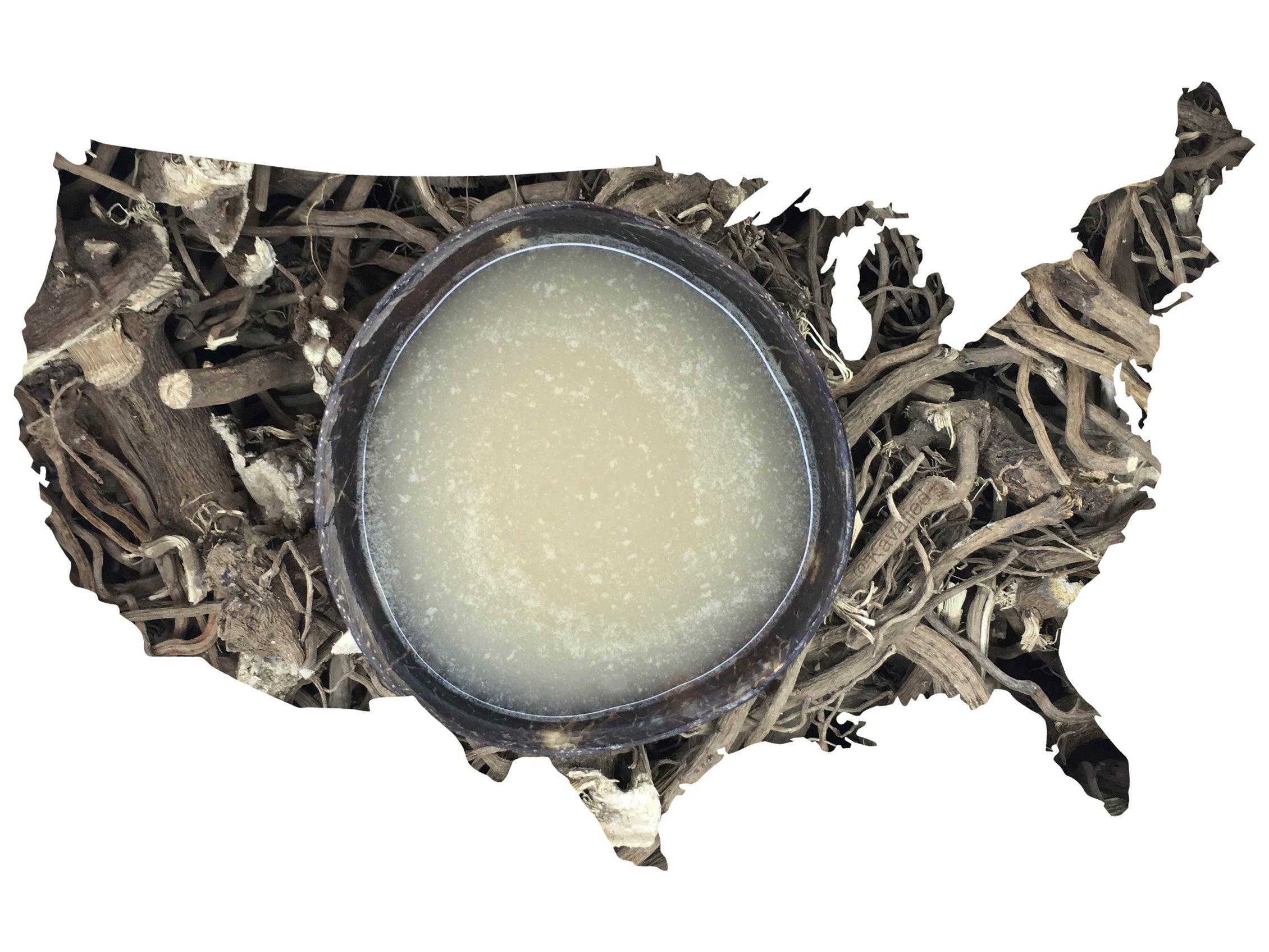 Kava Distribution Map Searchable USA Kava Bar Map - Find A Kava Bar Near You – Kavafied