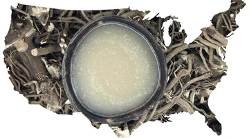 American Kava Bar Map USA
