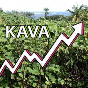 Kava Industry Market Forecast 