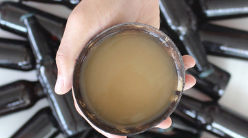 Top 7 Reasons Why Kava Is Better Than Booze
